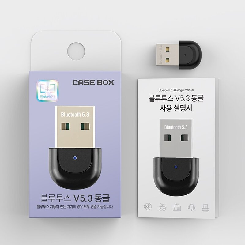 케이스박스 블루투스 V5.3 무선 수신기 USB 동글, 블랙